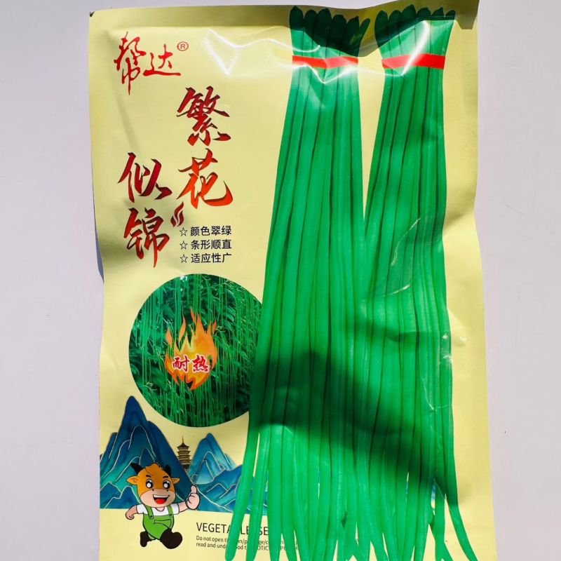 帮达繁花似锦豆角种子白籽白花豆角种籽翠绿色豇豆种子耐热