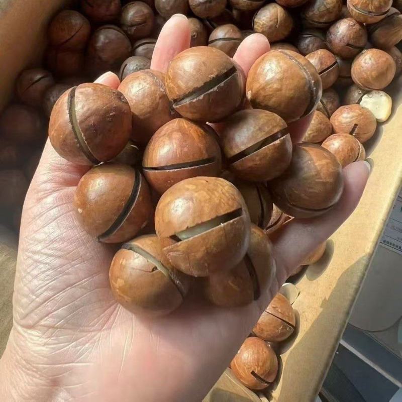 杭州临安手捏夏威夷果大量批发