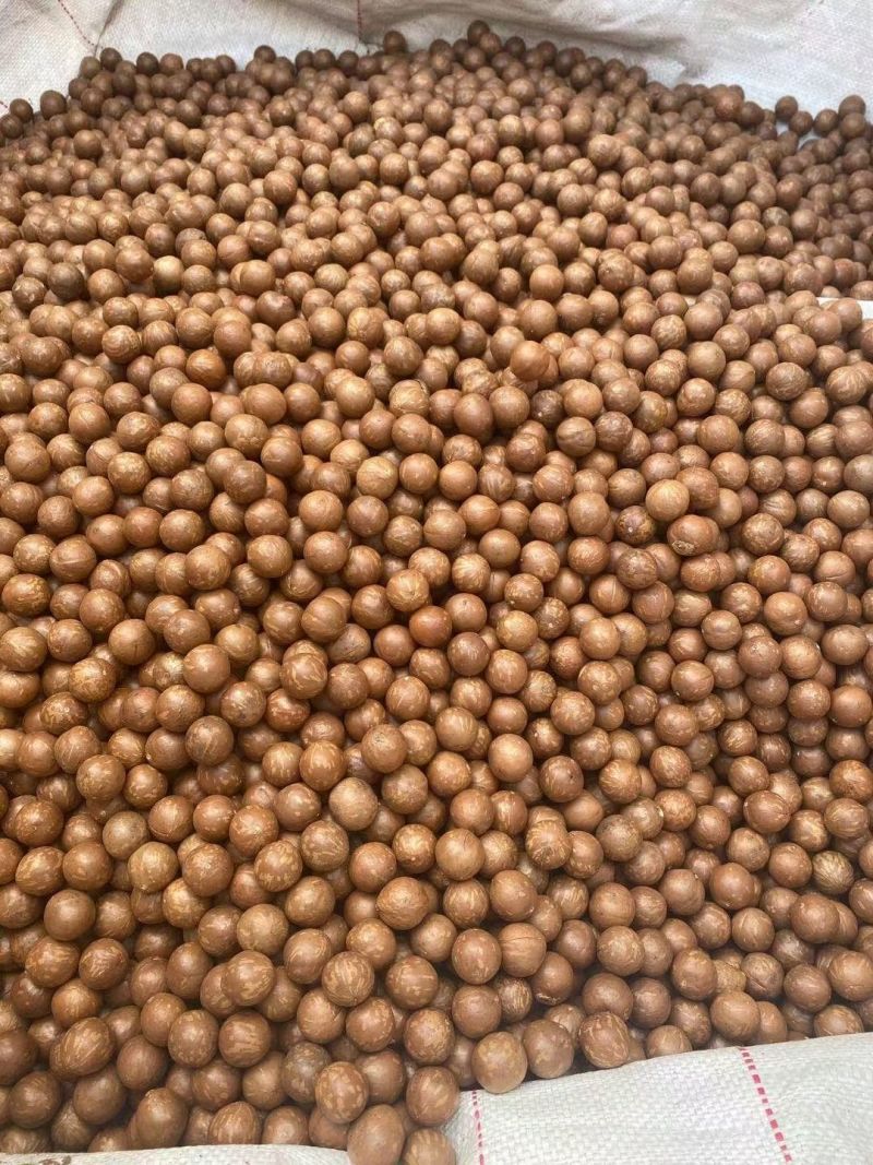杭州临安手捏夏威夷果大量批发