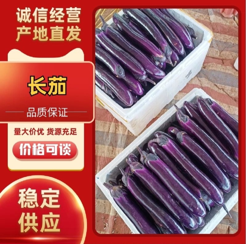 产地直发【保质保量】量大从优【诚信经营】紫裤