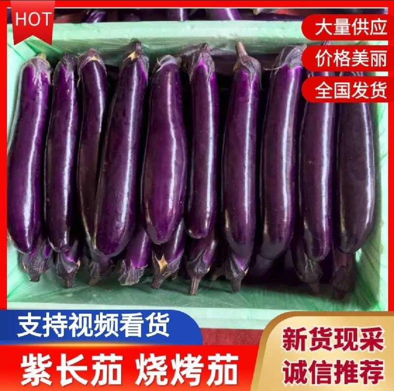 产地直发【保质保量】量大从优【诚信经营】紫裤