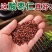酸枣仁中药材河北酸枣仁炒熟国产各种规格保质保量批发零售