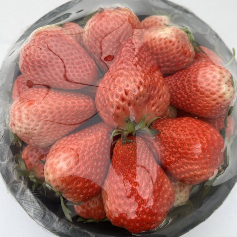 奶油草莓红玉草莓大果