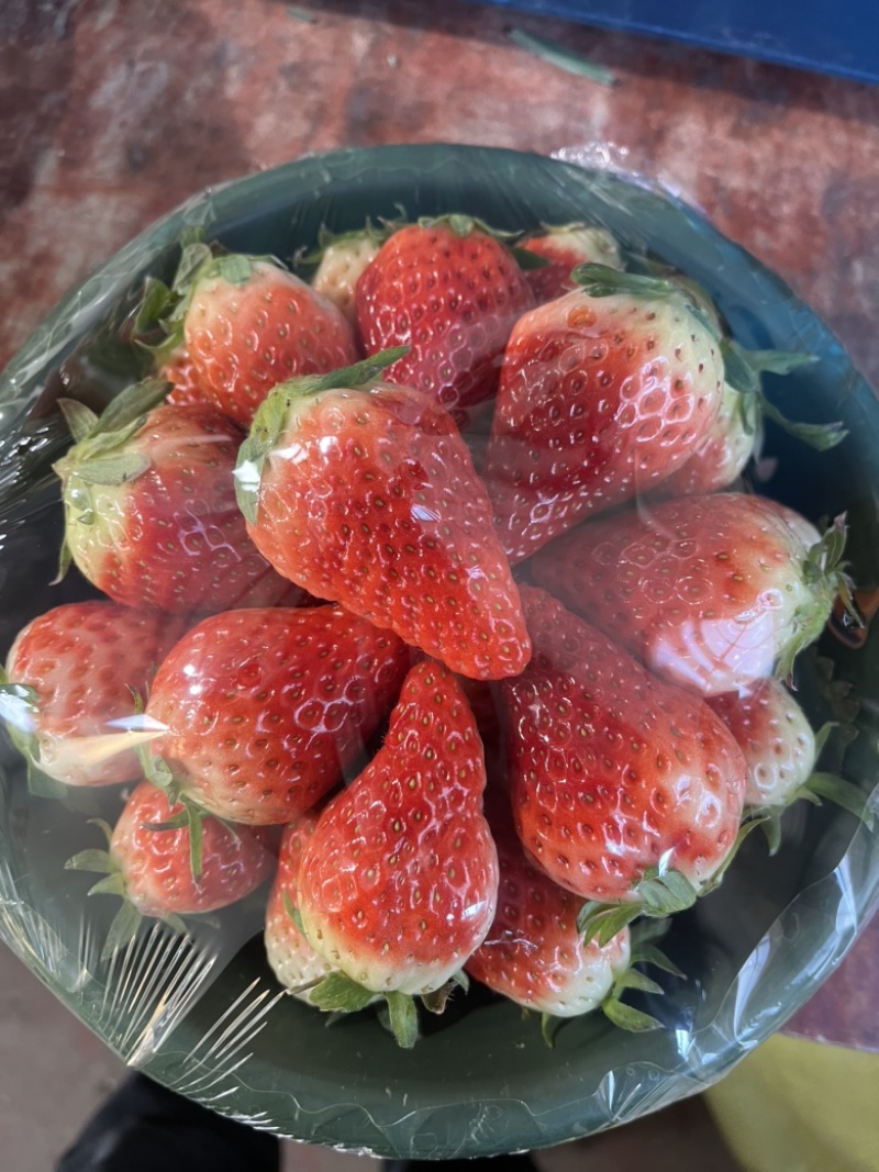 奶油草莓红玉草莓大果