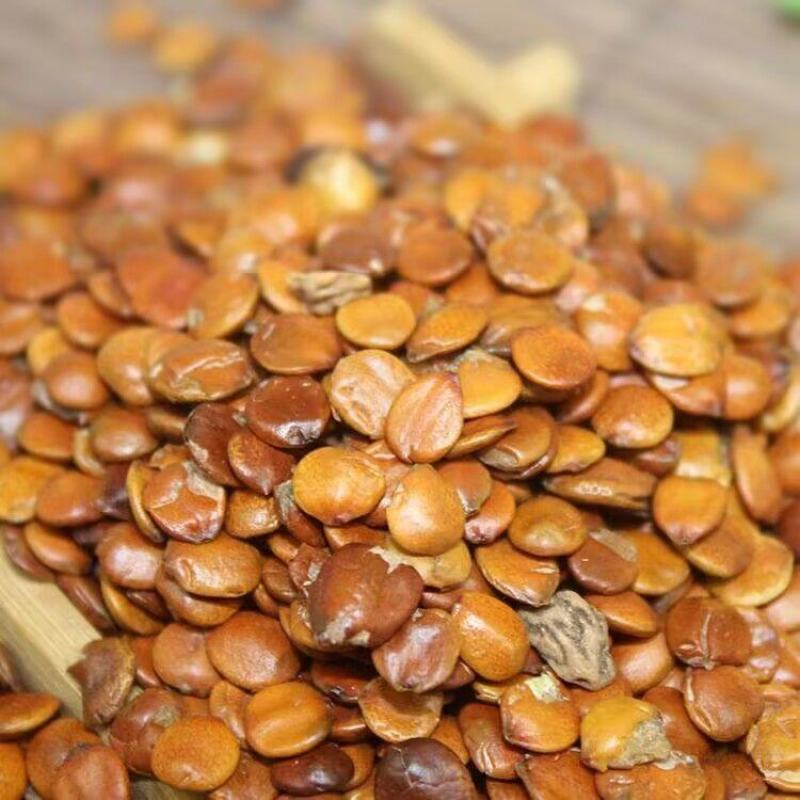 理枣仁进口枣仁去壳各种规格批发零售保质保量中药材