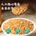 柏子仁正品柏树子带壳柏树籽柏籽仁炒熟柏子仁中药材批发