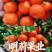 附近沙糖桔桂林产地大量供应中中偏大中偏中细皮外沙