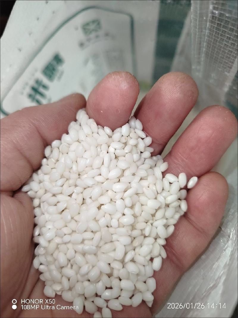 糯米大颗粒