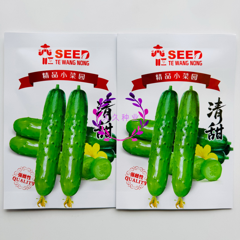清甜水果黄瓜种子甜脆清香味浓强雌型水果黄瓜种籽