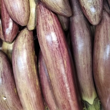🍆