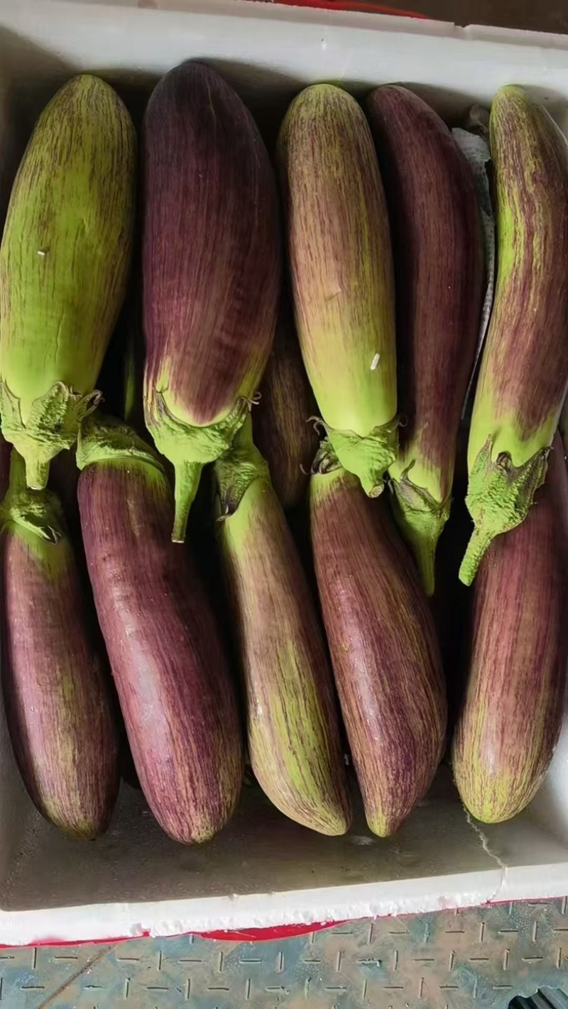 🍆