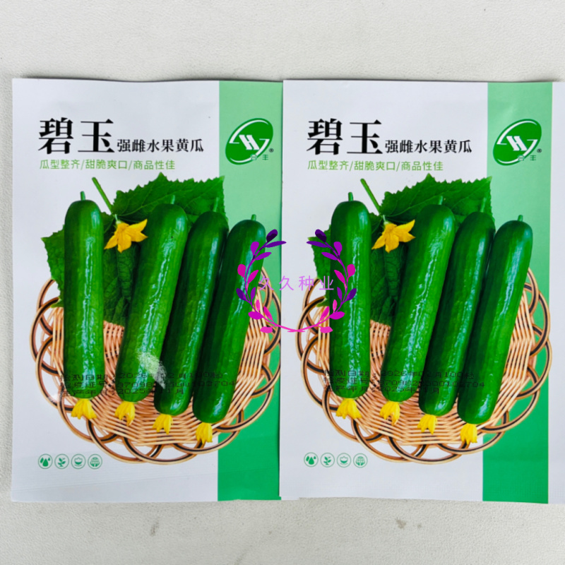 碧玉强雌黄瓜种子节节有瓜甜脆无刺瘤果型顺直美观四季蔬菜种