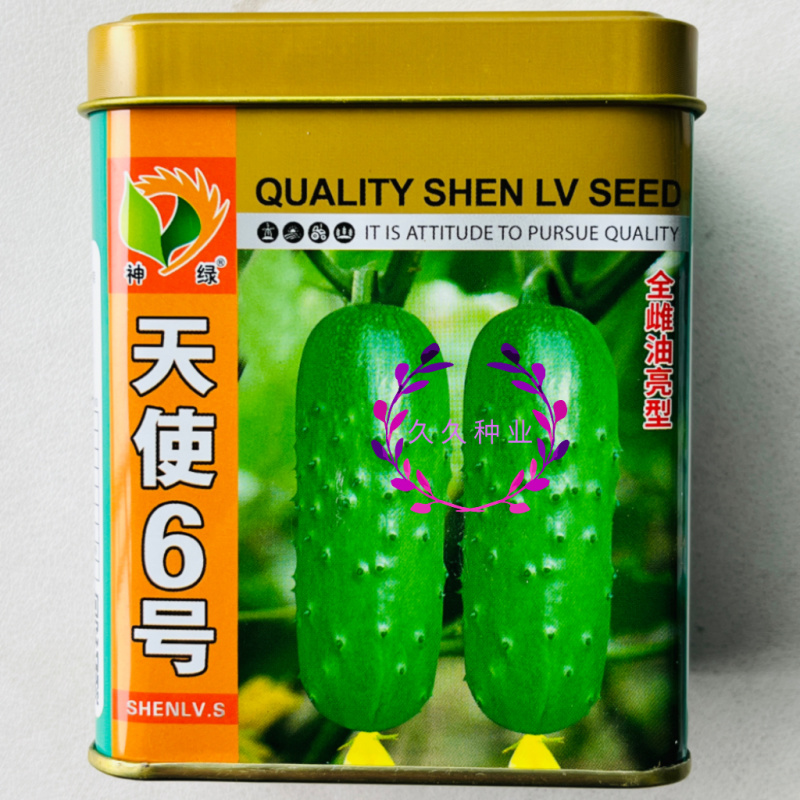 天使6号水果黄瓜种子全雌油绿甜脆早熟高产商品性佳农家春秋