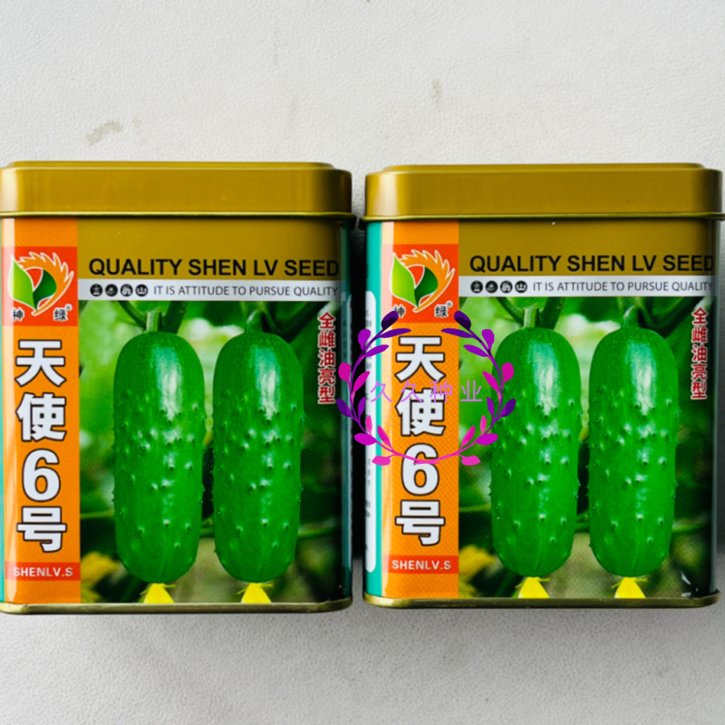 天使6号水果黄瓜种子全雌油绿甜脆早熟高产商品性佳农家春秋