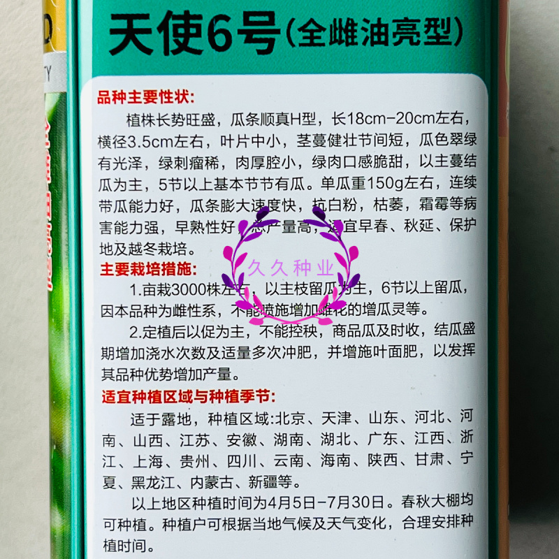 天使6号水果黄瓜种子全雌油绿甜脆早熟高产商品性佳农家春秋