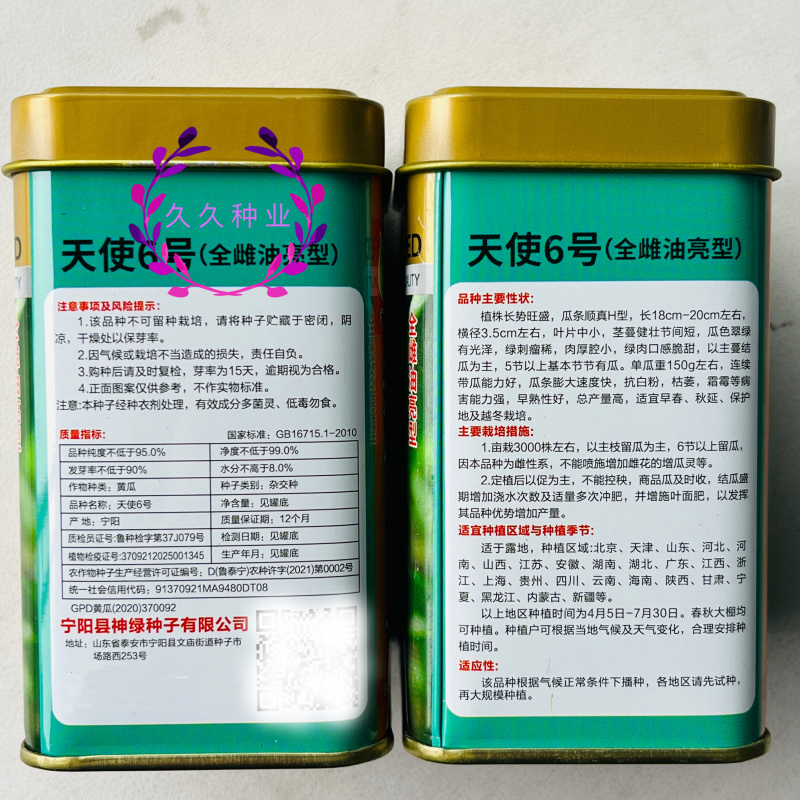 天使6号水果黄瓜种子全雌油绿甜脆早熟高产商品性佳农家春秋