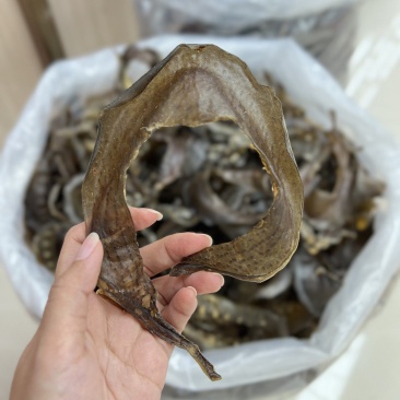 水鱼裙边、甲鱼裙边，足干，干净无骨肉质通透，红烧煲汤都可