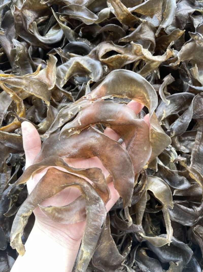水鱼裙边、甲鱼裙边，足干，干净无骨肉质通透，红烧煲汤都可