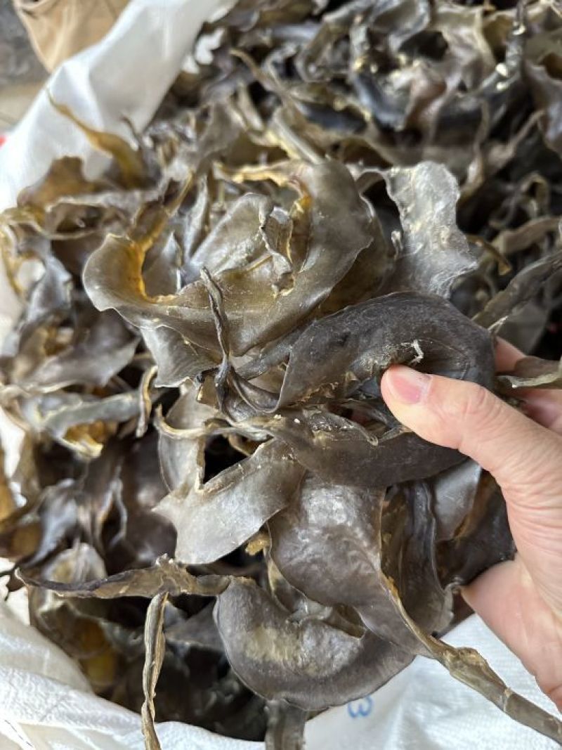 水鱼裙边、甲鱼裙边，足干，干净无骨肉质通透，红烧煲汤都可