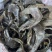 水鱼裙边、甲鱼裙边，足干，干净无骨肉质通透，红烧煲汤都可