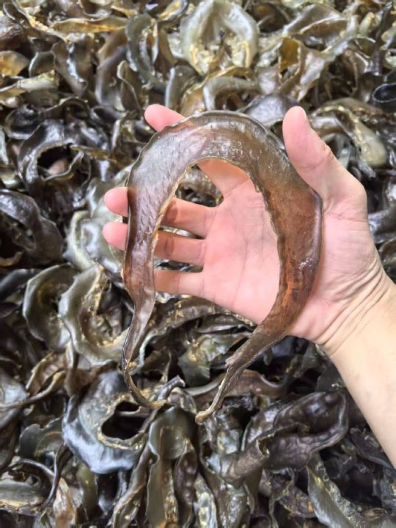 水鱼裙边、甲鱼裙边，足干，干净无骨肉质通透，红烧煲汤都可