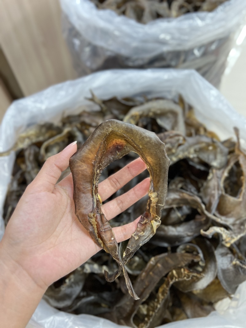 水鱼裙边、甲鱼裙边，足干，干净无骨肉质通透，红烧煲汤都可