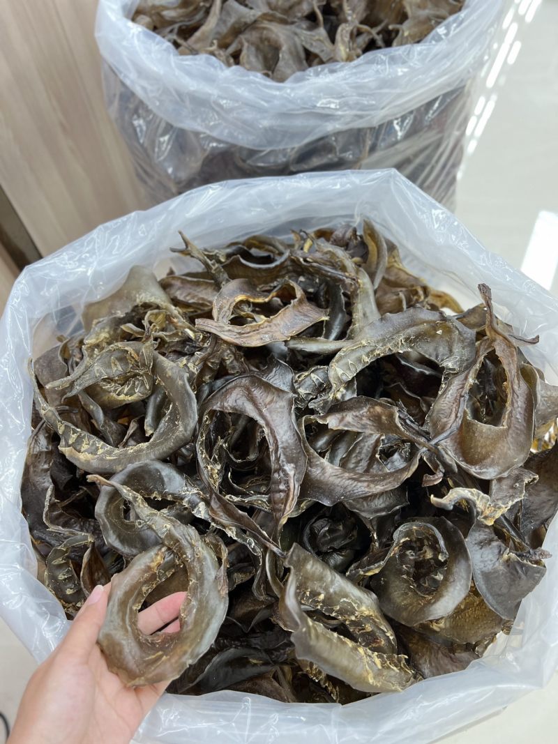 水鱼裙边、甲鱼裙边，足干，干净无骨肉质通透，红烧煲汤都可