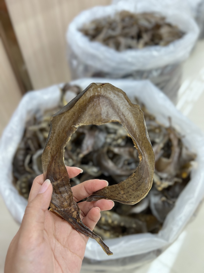 水鱼裙边、甲鱼裙边，足干，干净无骨肉质通透，红烧煲汤都可
