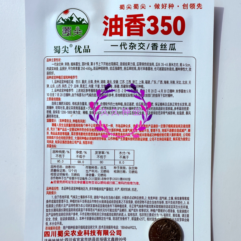 油香350丝瓜种子早熟长棒丝瓜种子籽长势强肉质细嫩油亮