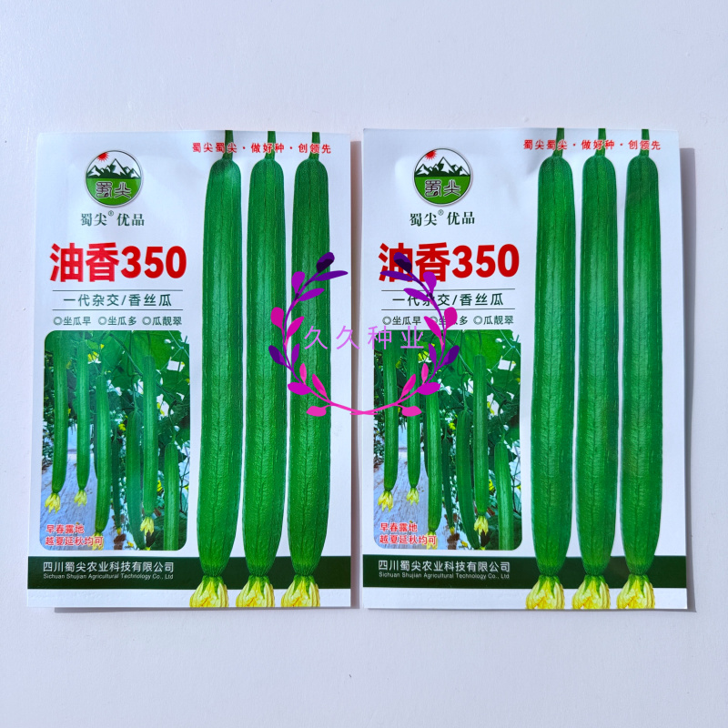 油香350丝瓜种子早熟长棒丝瓜种子籽长势强肉质细嫩油亮