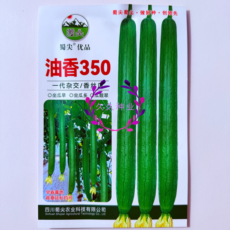 油香350丝瓜种子早熟长棒丝瓜种子籽长势强肉质细嫩油亮