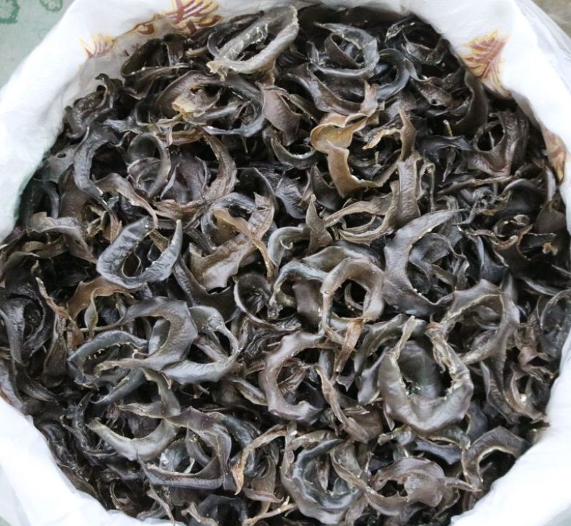水鱼裙边、甲鱼裙边，足干，干净无骨肉质通透，红烧煲汤都可