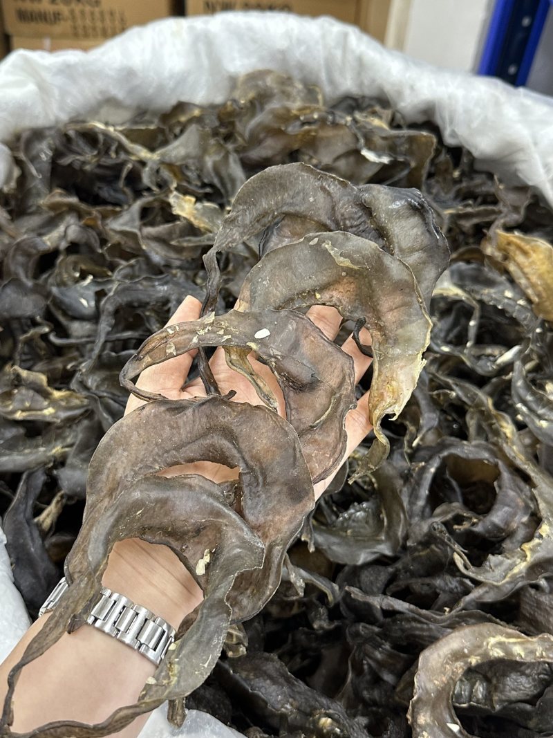 水鱼裙边、甲鱼裙边，足干，干净无骨肉质通透，红烧煲汤都可