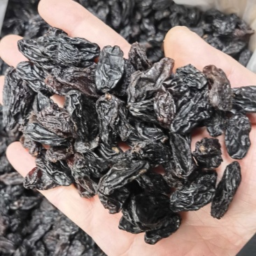 新疆黑加仑黑葡萄干