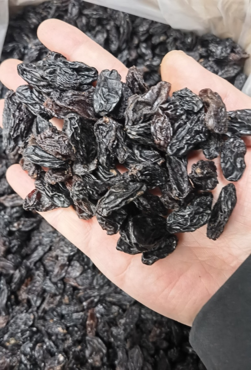 新疆黑加仑黑葡萄干