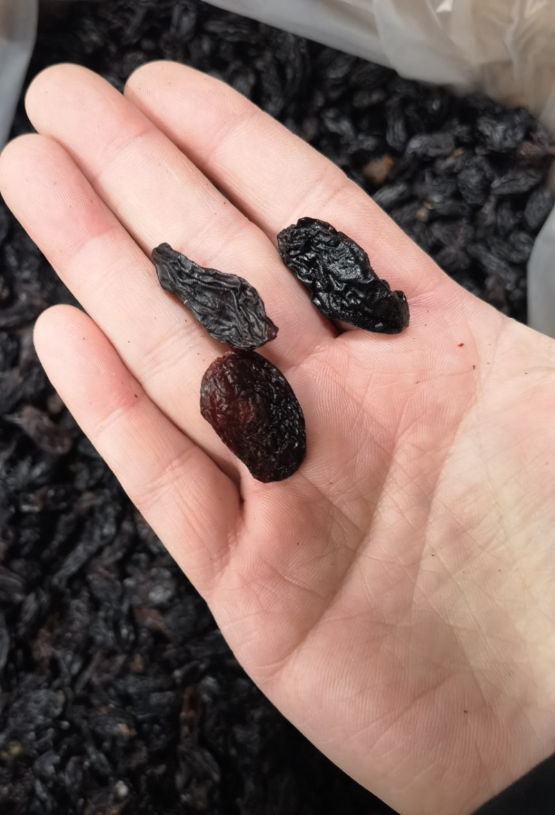 新疆黑加仑黑葡萄干
