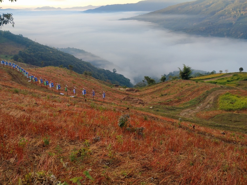 农场，云海仙境，可以养殖种植，做观光旅游