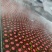 桃罐头草莓什锦水果罐头支持电商一件代发工厂直发