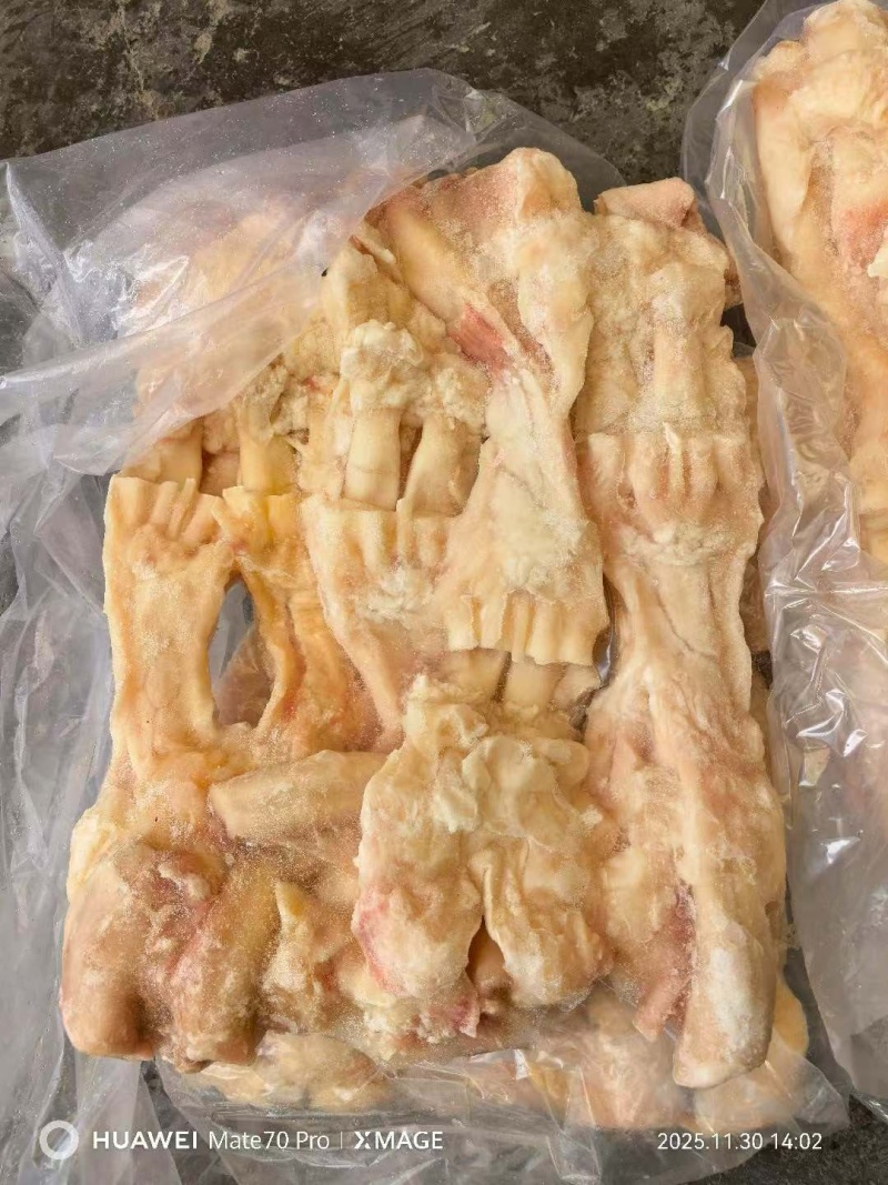 去骨生牛蹄筋，干净无毛