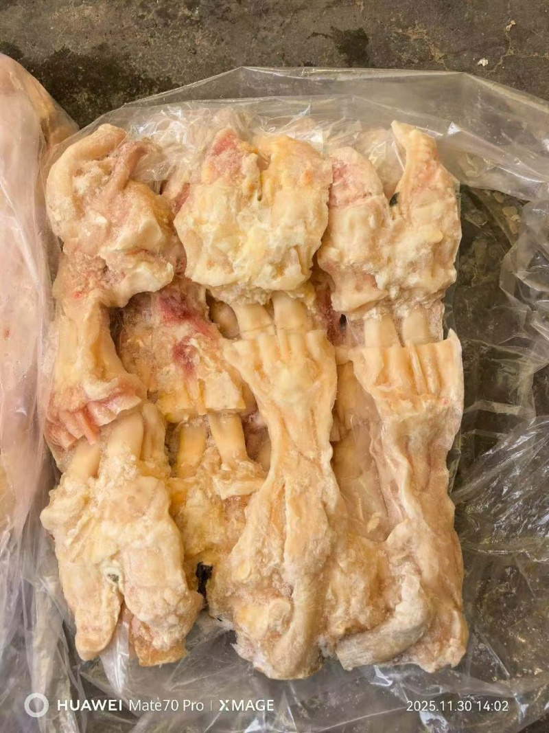 去骨生牛蹄筋，干净无毛