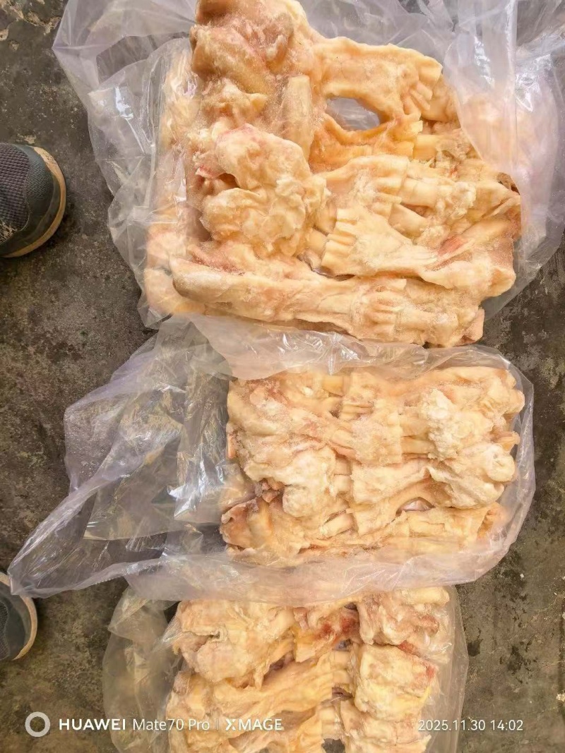 去骨生牛蹄筋，干净无毛
