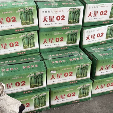 天星二号个头大口感清脆甘甜一箱30斤