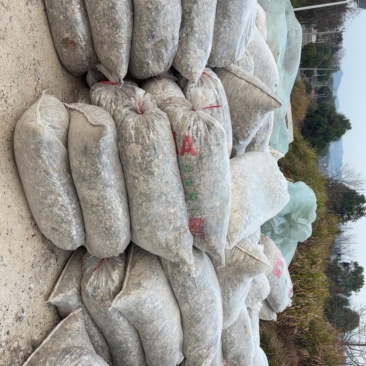 大量鸽子粪出售
