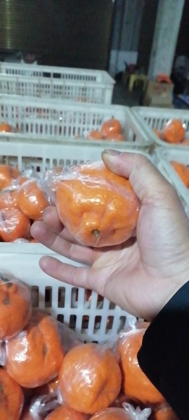 碰柑，高速路出口一公里，套袋，个大，水分足，果面干净