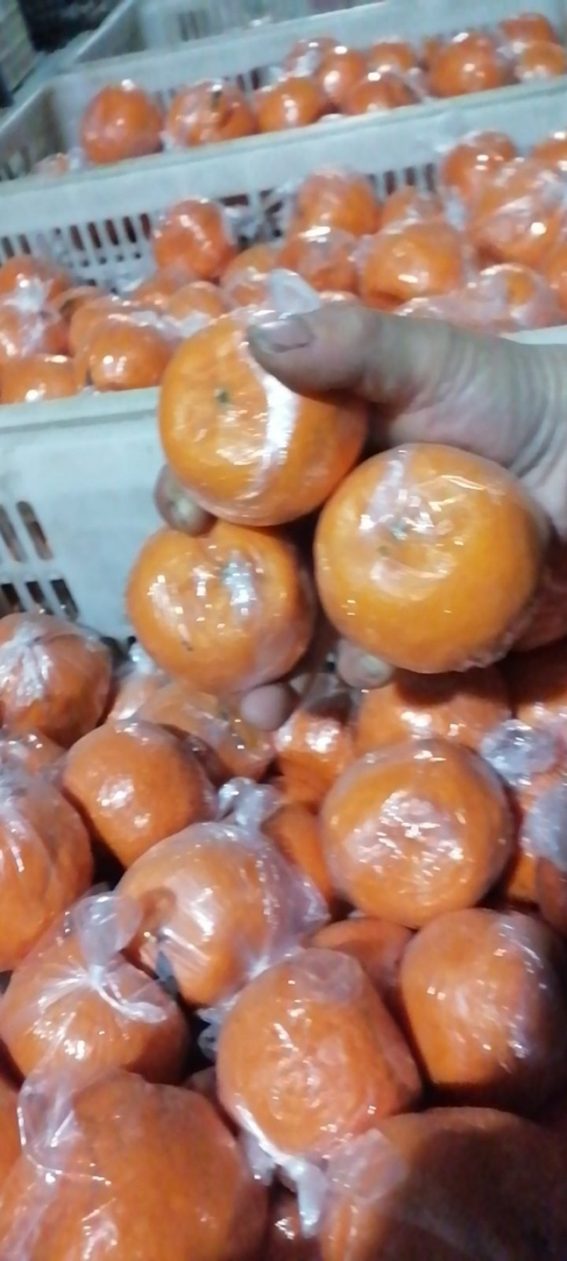 碰柑，高速路出口一公里，套袋，个大，水分足，果面干净