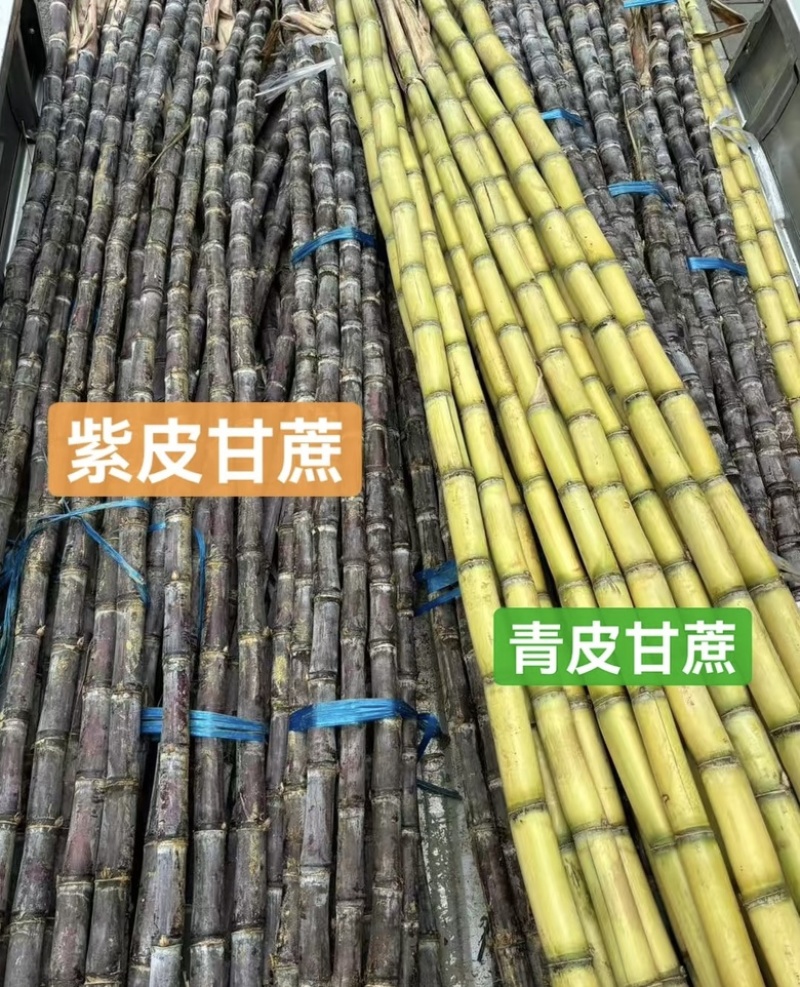 【精选】黄皮甘蔗紫皮甘蔗汁水多批量走货整车走货价格优惠