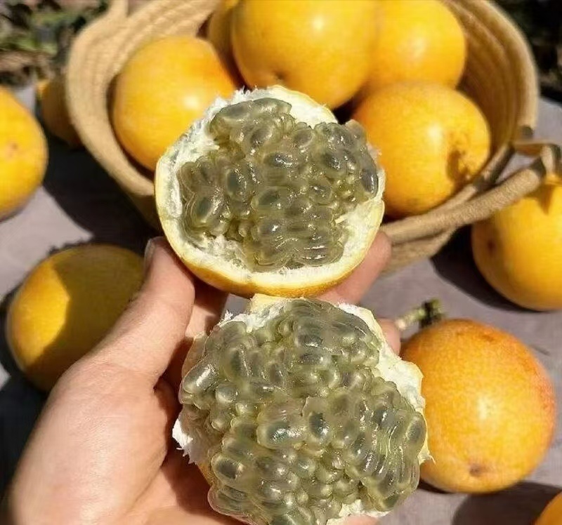 云南热情果