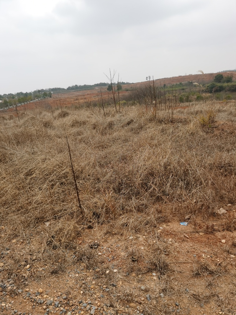 湖南衡阳3300亩大面积荒地出租流转