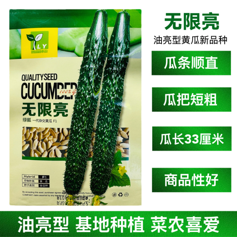 无限亮黄瓜种子高产抗病质脆味甜把短密刺果肉绿色黄瓜种子