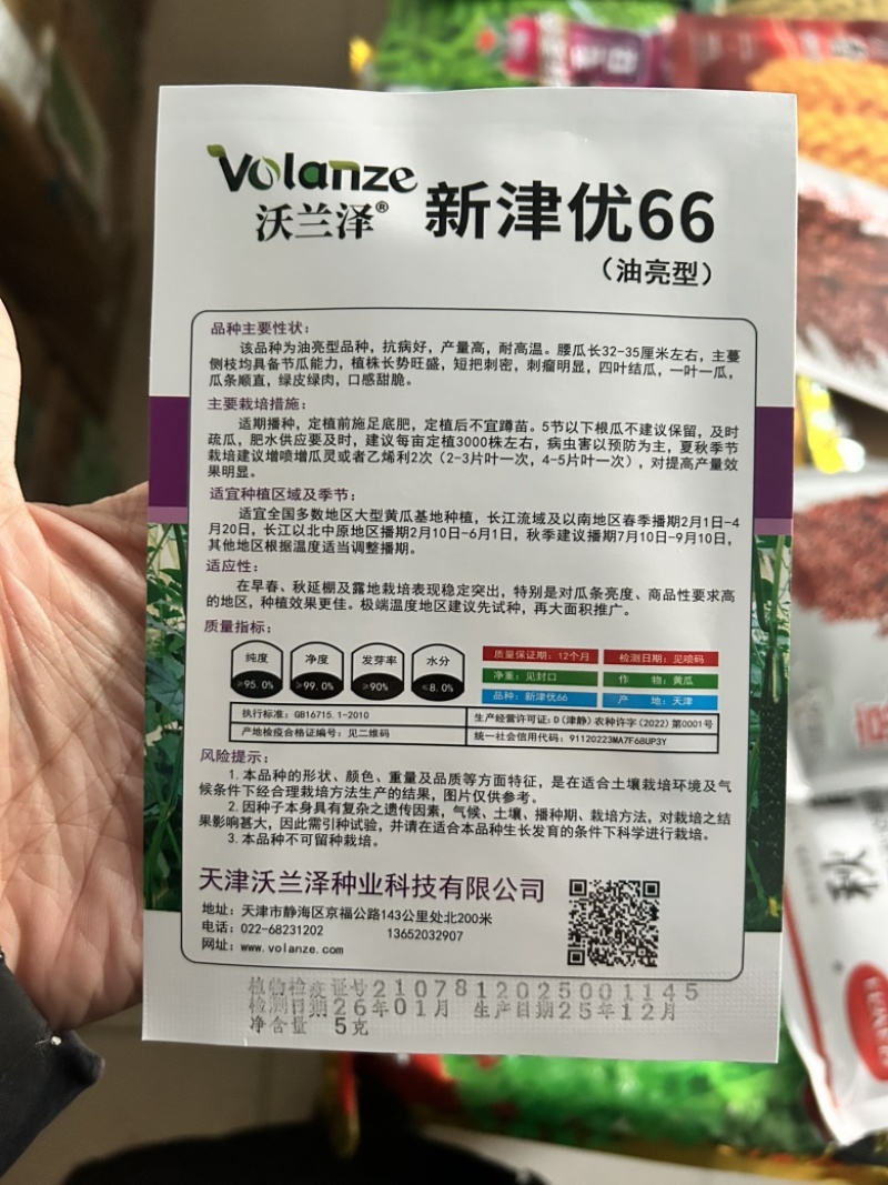 新津优66刺黄瓜种子油亮型耐高温短把刺密四叶结瓜一叶一瓜